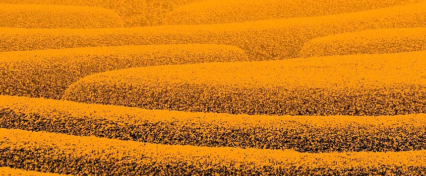 Corona Krise — war das schon alles?