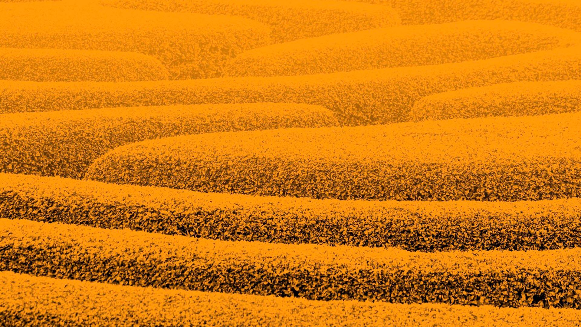 Corona Krise — war das schon alles?